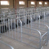 四川母猪定位栏定制/万晟畜牧设备公司生产母猪限位栏