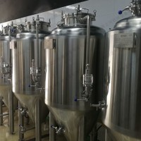 宁德市康之兴酿啤酒设备自酿鲜啤酒设备厂家供应不同型号苛求品质
