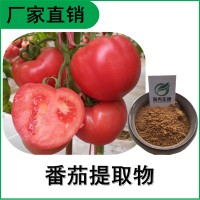 森冉生物 番茄提取物 西红柿提取物 番茄红素 多种规格