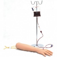 KAY-S1高级手臂静脉注射穿刺训练模型-静脉输液手臂模型