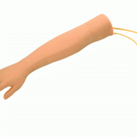 KAY-S5高级儿童手臂静脉穿刺训练模型小儿静脉输液手臂模型