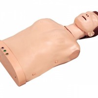 KAY/CPR195电子半身心肺复苏模拟人-胸外按压训练模型