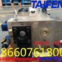 泰丰厂家供应YN32-100FNBCV型插装阀
