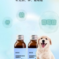 宠物营养补充剂电解质水源头厂家加工定制 山东庆葆堂