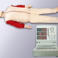 KAY/CPR280S全自动电脑心肺复苏模拟人-复苏人体模型