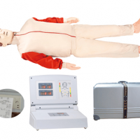 KAY/CPR480高级全自动电脑心肺复苏模拟人免费的b2b平台急救模型