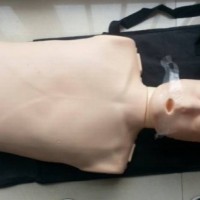 KAY/CPR100A电子版半身心肺复苏模拟人急救人体模型
