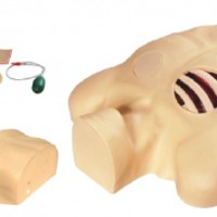 KAY-L67胸腔穿刺引流模型-医学技能培训模型人体教学模型
