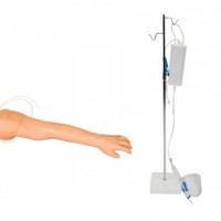 KAY-S39完整静脉穿刺手臂模型-护理专业技能训练操作模型