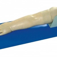 康谊牌KAY-S32高级小儿静脉穿刺手部模型-幼儿手臂模型