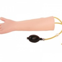 康谊牌KAY-S36高级儿童动脉注射模型-小儿动脉手臂模型