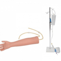 KAY-S13高级老年人静脉穿刺训练手臂模型-老年手臂模型
