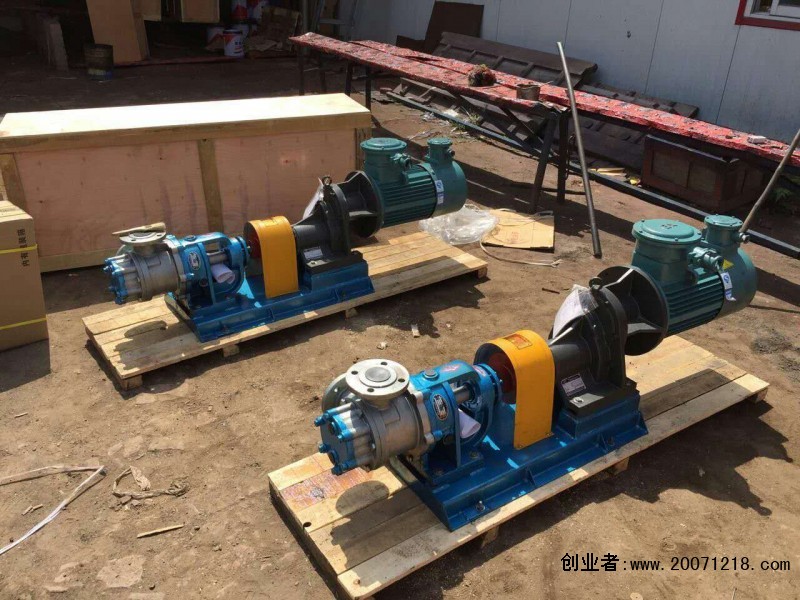 中国河北沧州市渤海油泵实体企业衡水热油泵原理价比高