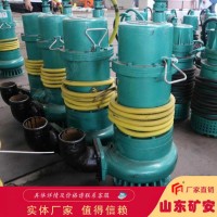 BQS(W)110KW矿用潜水排沙电泵结构特点