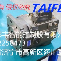 泰丰供应TFA11VO75LRDS/11R-NZD12柱塞泵